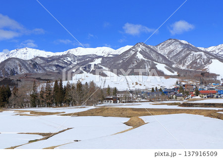 早春の栂池高原スキー場 137916509