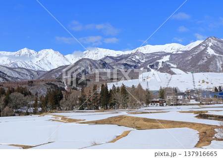 早春の栂池高原スキー場 早春の栂池高原スキー場 137916665