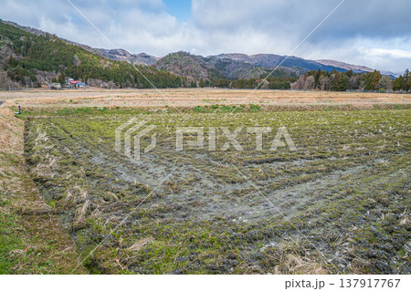 マキノ町の田園風景　滋賀県高島市 137917767