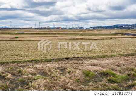マキノ町の田園風景 滋賀県高島市 マキノ町の田園風景 滋賀県高島市 137917773