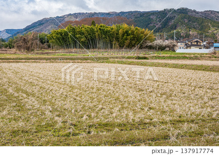 マキノ町の田園風景　滋賀県高島市 137917774