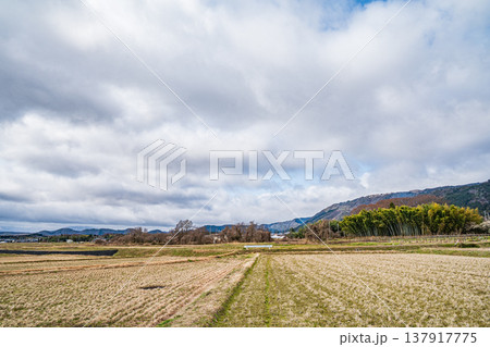 マキノ町の田園風景 滋賀県高島市 マキノ町の田園風景 滋賀県高島市 137917775