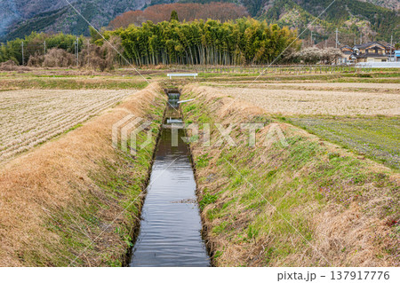 マキノ町の田園風景 滋賀県高島市 マキノ町の田園風景 滋賀県高島市 137917776