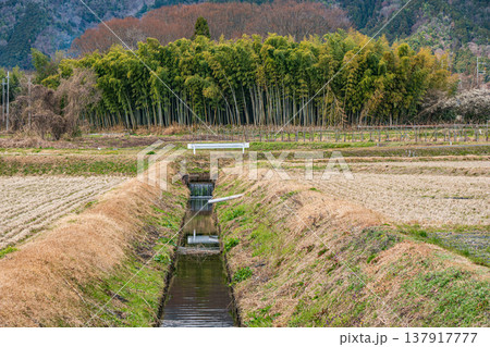 マキノ町の田園風景　滋賀県高島市 137917777