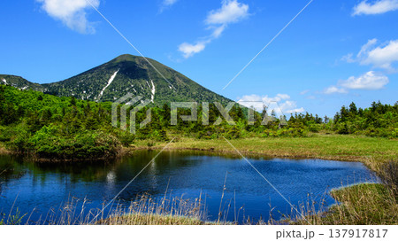 八甲田 初夏の絶景 睡蓮沼と高田大岳 八甲田 初夏の絶景 睡蓮沼と高田大岳 137917817