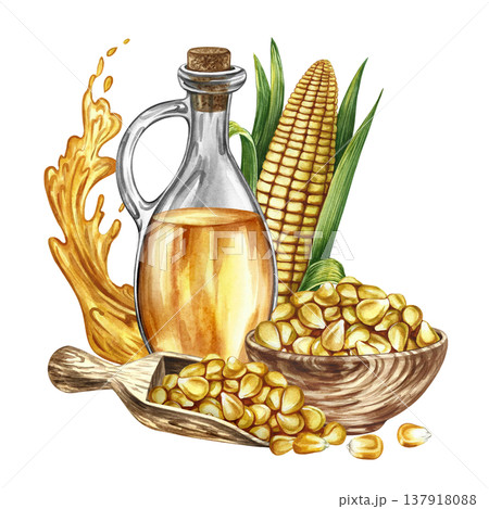 Corn oil. Hand-drawn watercolor illustration. Corn kernels in a wooden bowl, a bottle of oil, a corn cob, and a splash of oil. For labels and packaging, menus, banners, posters, and more. 137918088
