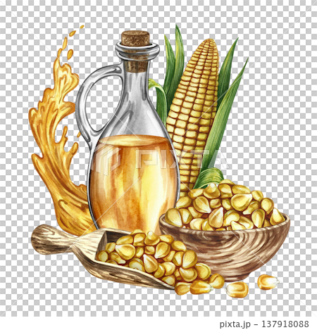 Corn oil. Hand-drawn watercolor illustration. Corn kernels in a wooden bowl, a bottle of oil, a corn cob, and a splash of oil. For labels and packaging, menus, banners, posters, and more. 137918088