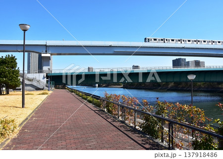 東京都江東区 豊洲ぐるり公園散策路と有明北橋とゆりかもめ 東京都江東区 豊洲ぐるり公園散策路と有明北橋とゆりかもめ 137918486