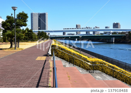 東京都江東区 豊洲ぐるり公園散策路と有明北橋とゆりかもめ 東京都江東区 豊洲ぐるり公園散策路と有明北橋とゆりかもめ 137918488