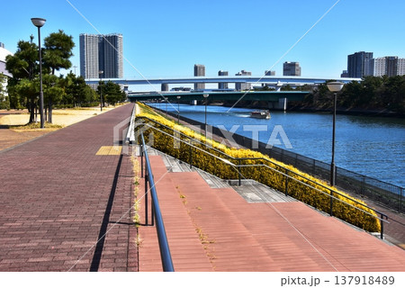 東京都江東区 豊洲ぐるり公園散策路と有明北橋 東京都江東区 豊洲ぐるり公園散策路と有明北橋 137918489