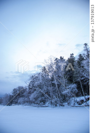 北海道の冬景色 樹氷と雪原 凍った湖と青空 北海道らしい静寂な冬の自然風景 北海道の冬景色 樹氷と雪原 凍った湖と青空 北海道らしい静寂な冬の自然風景 137919013