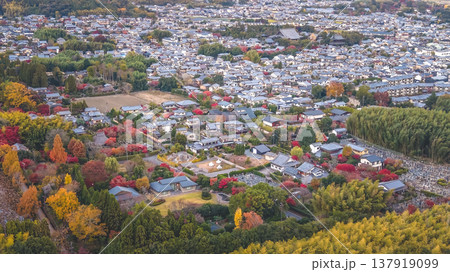 NOV 28 2025 Sagano Hills Covered In Vibrant Autumn Red And Gold 137919099