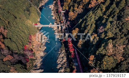 NOV 28 2025 Hozukyo Torokko Station Scenic Railway In Kyoto NOV 28 2025 Hozukyo Torokko Station Scenic Railway In Kyoto 137919157