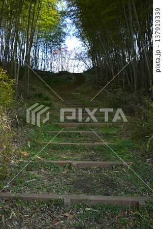 山の中にある階段 山の中にある階段 137919339