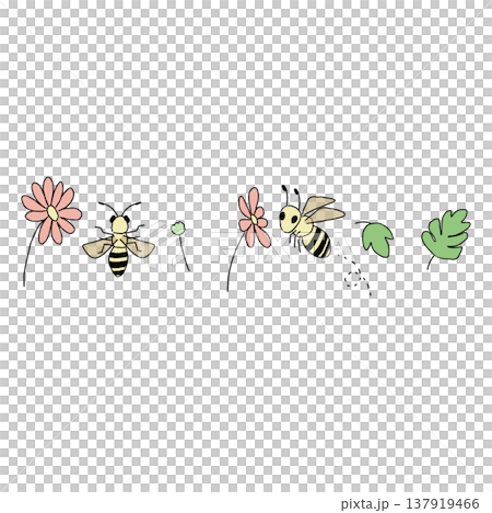 ミツバチと花の手描きイラスト罫線 137919466