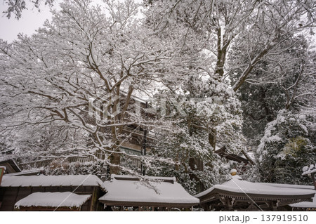雪(高尾山薬王院) 雪(高尾山薬王院) 137919510