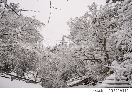 雪(高尾山薬王院) 雪(高尾山薬王院) 137919513