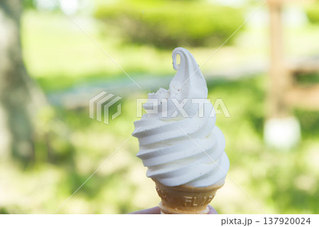 緑の背景に手持ちのソフトクリーム 北海道ミルクソフト 屋外で食べるスイーツ 夏の観光イメージ 緑の背景に手持ちのソフトクリーム 北海道ミルクソフト 屋外で食べるスイーツ 夏の観光イメージ 137920024