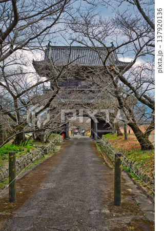 【第八番札所】熊谷寺の仁王門【四国八十八箇所】 【第八番札所】熊谷寺の仁王門【四国八十八箇所】 137920136
