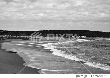 君が浜 君が浜 137920150