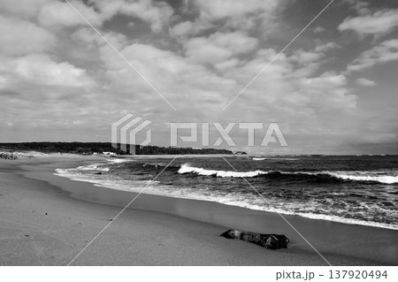 君ヶ浜 137920494
