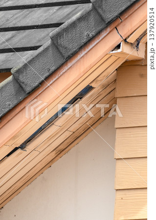 Birds nesting under old roof that loose or broken externalceiling. 137920514