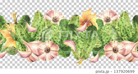 Watercolor Cucumbers and garlic bulb with cloves, leaves and flowers seamless border. Hand drawn illustration for homemade farm vegetable mix pickling food packaging. Isolated from background pattern. Watercolor Cucumbers and garlic bulb with cloves, leaves and flowers seamless border. Hand drawn illustration for homemade farm vegetable mix pickling food packaging. Isolated from background pattern. 137920699