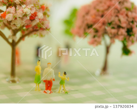 家族でお花見 137920834