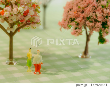 桜の咲く公園を歩くカップル 桜の咲く公園を歩くカップル 137920841