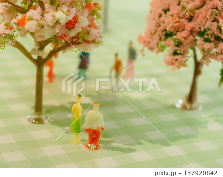 桜道を歩くカップルを上から撮影 137920842