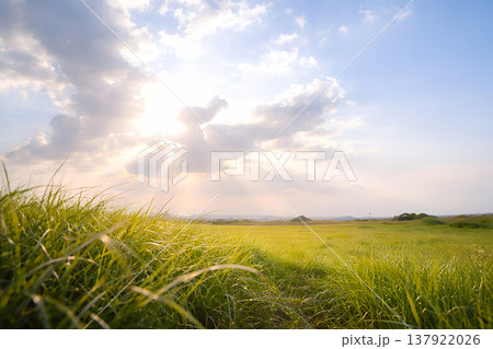 光芒が広がる草原の朝の風景 137922026
