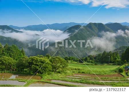 早朝の高原霧の里 【和歌山県田辺市中辺路町】 早朝の高原霧の里 【和歌山県田辺市中辺路町】 137922317