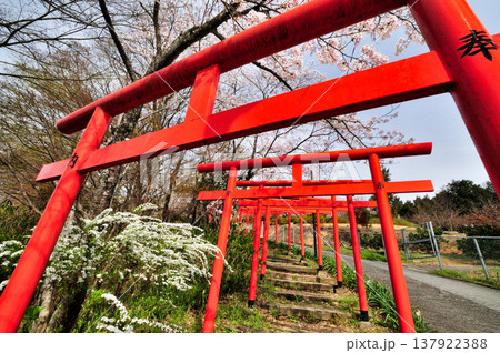 丸高稲荷神社・鳥居　【和歌山県橋本市】 137922388