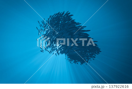 Sardine Bait Ball Sphere God Rays Underwater Ocean, 3D Render  137922616