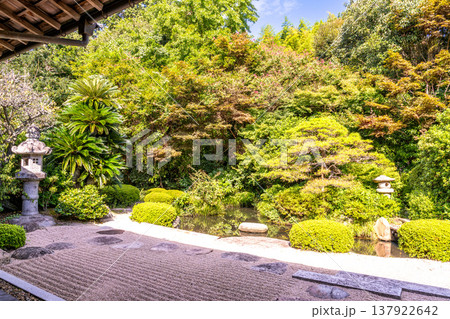 松江藩主松平家菩提寺・月照寺の秋の風景　島根県松江市 137922642
