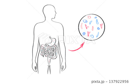 Gut Brain Connection 137922956