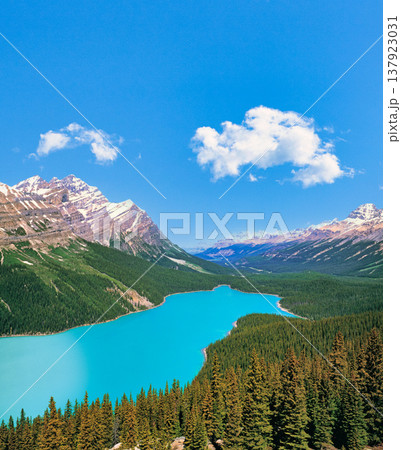 カナディアンロッキーのペイトレイクの絶景 137923031