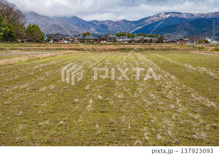 マキノ町の田園風景 滋賀県高島市 マキノ町の田園風景 滋賀県高島市 137923093
