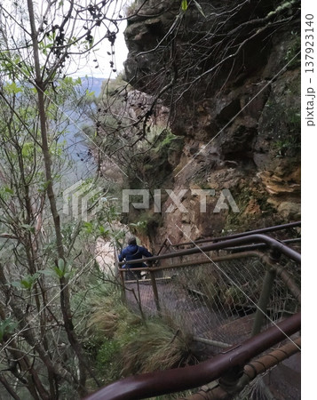 断崖を縫う歩道の静かな旅路 ― Echo PointからScenic Worldへ続く道 断崖を縫う歩道の静かな旅路 ― Echo PointからScenic Worldへ続く道 137923140
