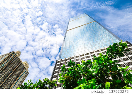 高層ビルを見上げるオフィス街の風景 137923273