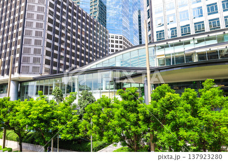 緑のあるビル街の風景 緑のあるビル街の風景 137923280
