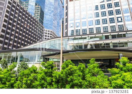 緑のあるビル街の風景 137923281