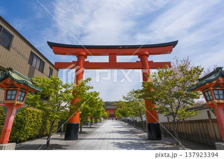伏見稲荷大社の鳥居と参道 伏見稲荷大社の鳥居と参道 137923394