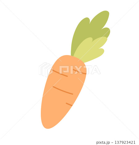 Carrot vector illustration isolated on white background, simple orange vegetable, cute flat food element for cooking design, healthy nutrition concept for stickers, packaging and menu design 137923421