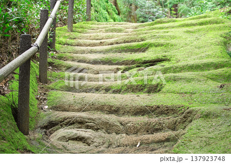 山道 山道 137923748