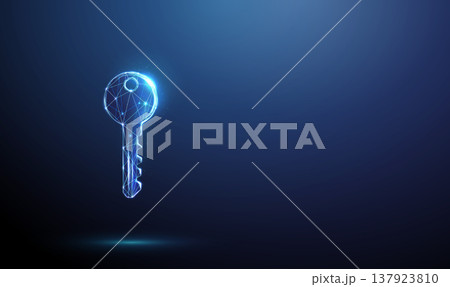 3d digital key icon. Secure access technology, electronic authentication, encrypted entry system, smart lock integration, passwordless login, identity verification concept. 137923810