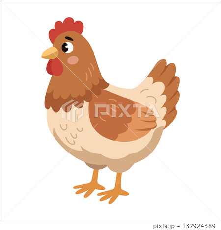Cute cartoon chicken vector illustration isolated farm bird 137924389