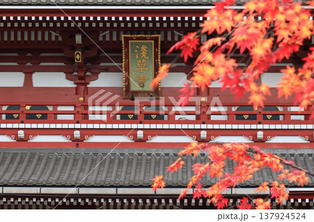 浅草寺とモミジ 浅草寺とモミジ 137924524
