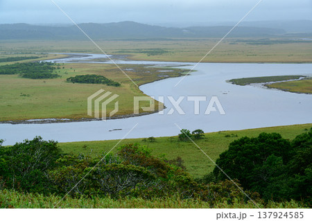 霧に包まれた霧多布湿原 北海道浜中町の雄大な湿原風景 霧に包まれた霧多布湿原 北海道浜中町の雄大な湿原風景 137924585