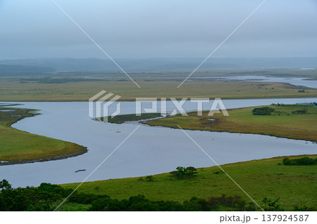 霧に包まれた霧多布湿原 北海道浜中町の雄大な湿原風景 137924587